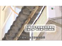 《東張西望》石棉是甚麼?