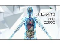 《東張西望》甚麼是肺塵埃沉着病?